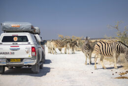 Namibia_August (17/135)